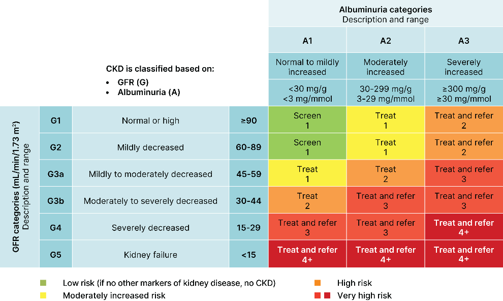 A chart showing CKD risk levels based on GFR and albuminuria. Risk increases from green (low) to red (very high) as GFR decreases and albuminuria rises, with guidance to screen, treat, and refer at higher risk levels.