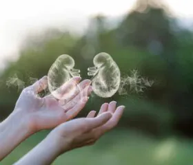 A pair of hands held open outdoors with digital, semi-transparent kidney illustrations hovering above them, symbolizing kidney health and diabetes in women 2026. The background features blurred greenery for a hopeful, natural setting.